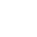 INTELLECTUAL <br/>PROPERTY